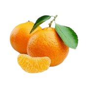 Продукт