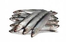 Пищ рыб прод соленая: Килька балт м/с н/р высший сорт вес