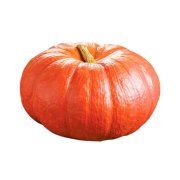 Продукт