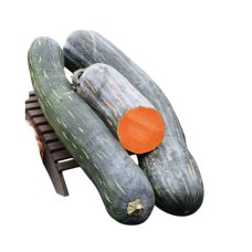 Тыква продовольственная свежая сорт Семейная вес