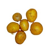 Продукт