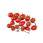 Продукт