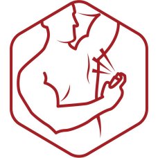 Аэрозольный дезодорант Old Spice Дикий аромат Wolfthorn 150 мл.