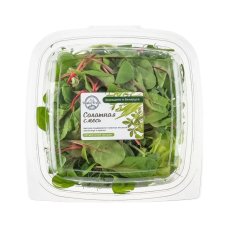 Салатная смесь YASH&FRESH Family 80г