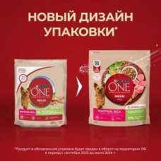 ONE Мини Здоровый вес 600г Сух корм д/с индейка, рис