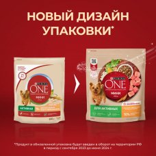 ONE Мини активных 600г Сух корм д/с курица,рис