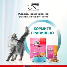 Пурина Ван 75г Конс д/котят курица морковь