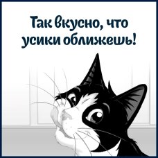 Феликс Сенсейшнс 75г Конс д/к кусочки в желе утка, шпинат