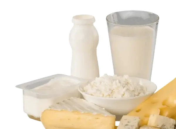 Молочные продукты и яйца