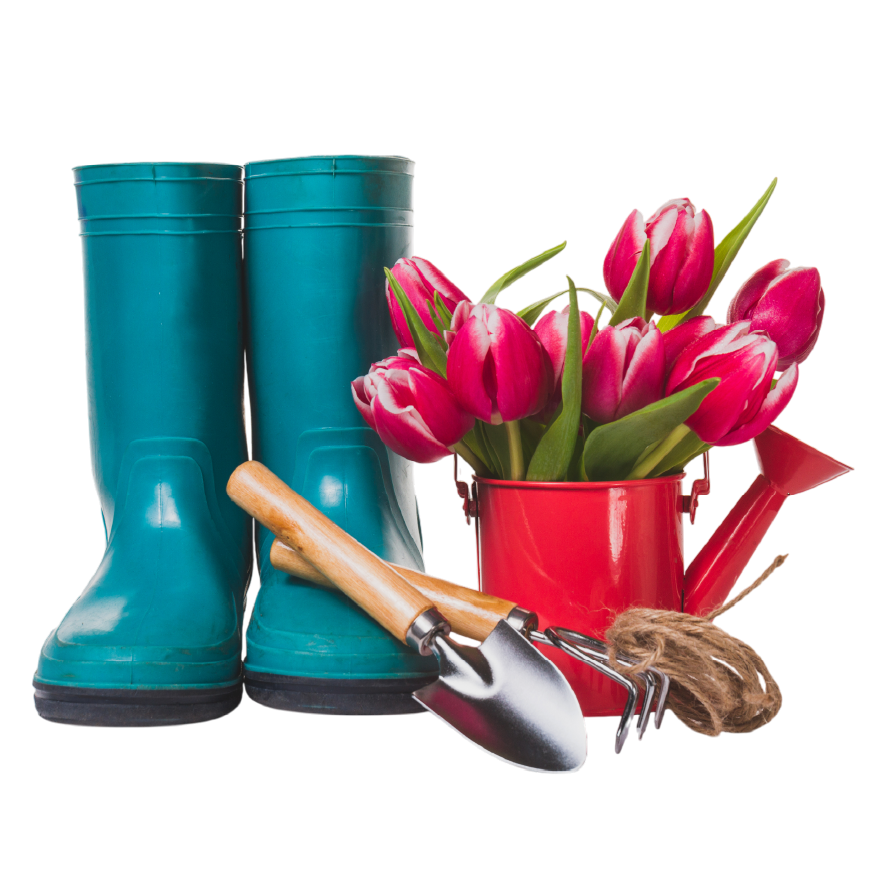 Сад и огород