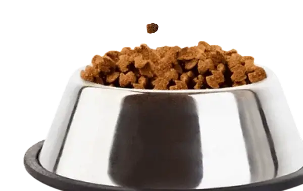 Для животных