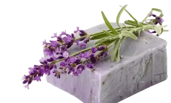 Косметика и личная гигиена