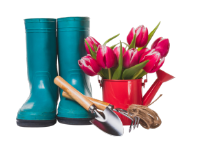 Сад и огород